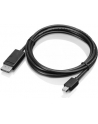 Lenovo Mini DisplayPort to DisplayPort C - 0B47091 - nr 17