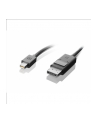 Lenovo Mini DisplayPort to DisplayPort C - 0B47091 - nr 6