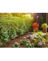 Gardena Micro-Drip-System Pflanzenreihe S zestaw startowy (13010) - nr 12