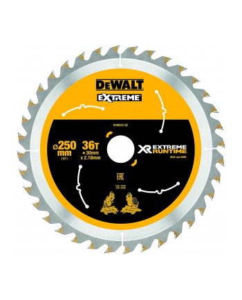 DeWalt DT99572, 250mm / 30mm