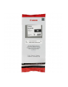 Canon ink BK PFI-207BK - nr 20