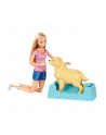 Mattel Barbie Newborn Pups Doll & Pets (FDD43) - nr 3