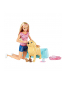 Mattel Barbie Newborn Pups Doll & Pets (FDD43) - nr 9