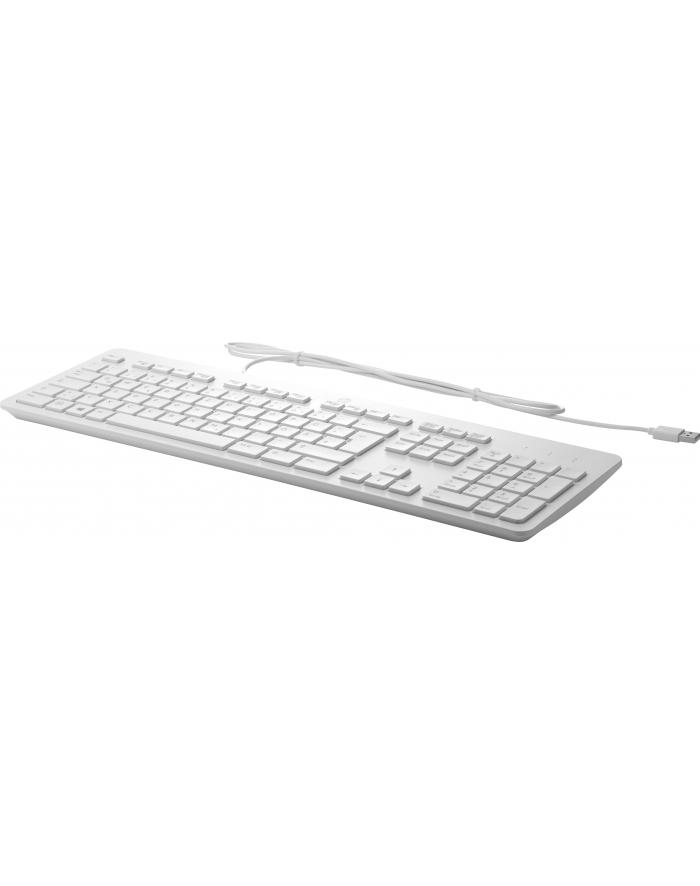 HP Inc. USB (Grey) Business Slim Keyboard    Z9H49AA główny