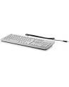 HP Inc. USB (Grey) Business Slim Keyboard    Z9H49AA - nr 4