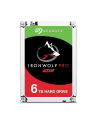 IronWolf Pro 6TB 3,5'' 256MB ST6000NE0023 - nr 14