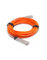 Cisco Systems Cisco 100GBASE QSFP Active Optical Cable, 5m - nr 1