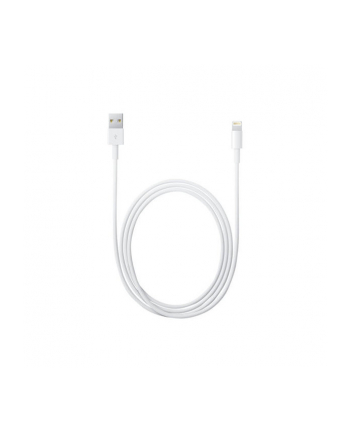 Apple Lightning to USB Cable (1m) Bulk