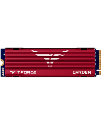 TEAMGROUP SSD PCIe-NVMe 240GB (R: 2600, W:1400), TEAM T-FORCE Cardea (Red)
