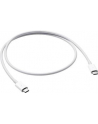 apple Thunderbolt 3 (USB-C) kabel (0.8m) - nr 13
