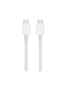 apple Thunderbolt 3 (USB-C) kabel (0.8m) - nr 14