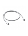 apple Thunderbolt 3 (USB-C) kabel (0.8m) - nr 15
