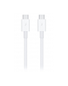 apple Thunderbolt 3 (USB-C) kabel (0.8m) - nr 21