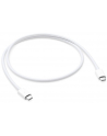 apple Thunderbolt 3 (USB-C) kabel (0.8m) - nr 22