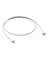 apple Thunderbolt 3 (USB-C) kabel (0.8m) - nr 11