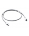 apple Thunderbolt 3 (USB-C) kabel (0.8m) - nr 12