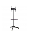 Stojak mobilny LCD/LED 23-55cali regulowany z półką, czarny - nr 43
