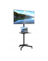 Stojak mobilny LCD/LED 23-55cali regulowany z półką, czarny - nr 45