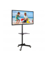 Stojak mobilny LCD/LED 23-55cali regulowany z półką, czarny - nr 49
