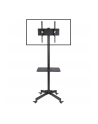 Stojak mobilny LCD/LED 23-55cali regulowany z półką, czarny - nr 50