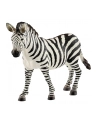 schleich SLH 14810 Zebra samica - nr 3