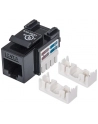 intellinet Moduł Keystone Cat6 UTP RJ45 zaciskany czarny - nr 18