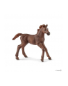 schleich SLH 13857 Źrebię pełnej krwi angielskiej - nr 2