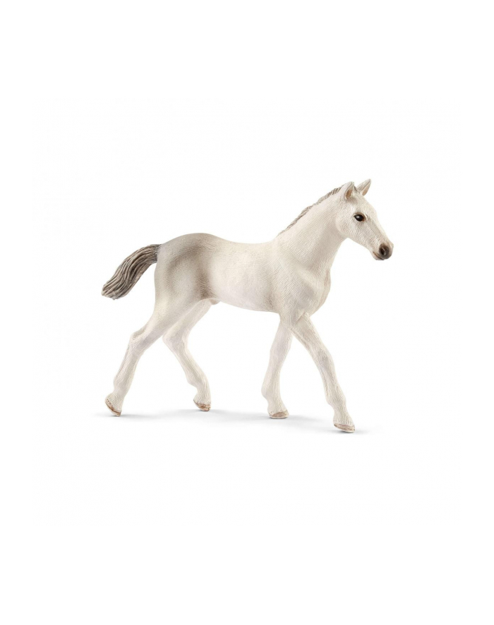 schleich SLH 13860 Źrebię rasy holsztyńskiej główny