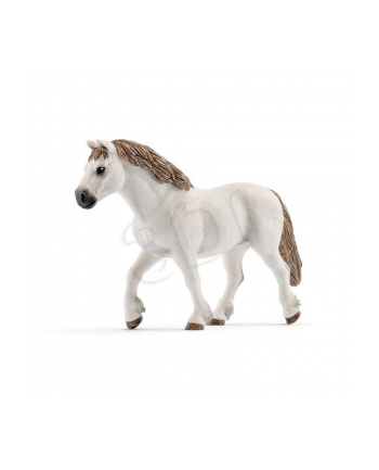 schleich SLH 13871 Kucyk walijskiego ogiera