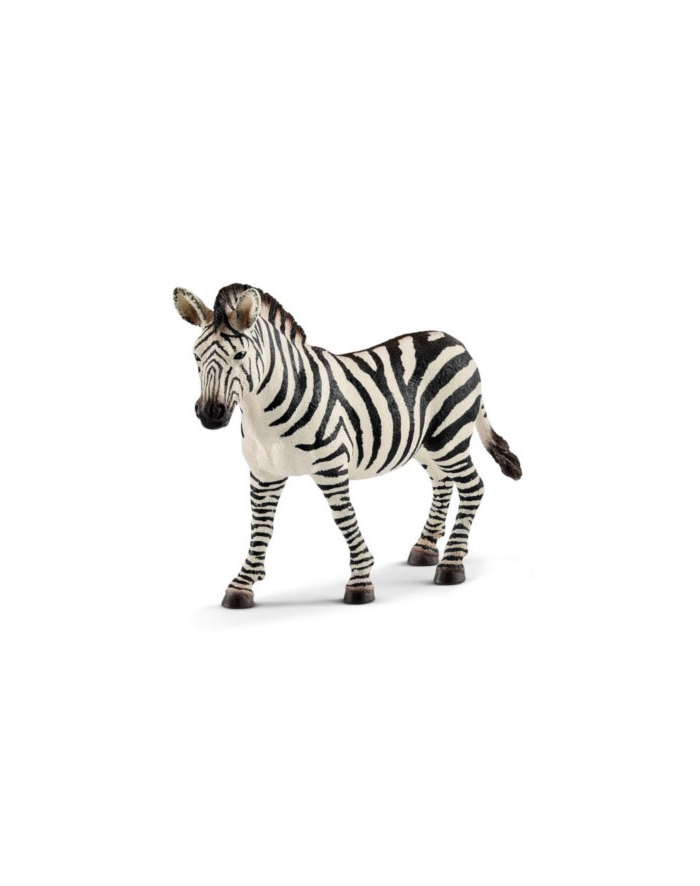 schleich SLH 14810 Zebra samica główny