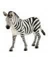 schleich SLH 14810 Zebra samica - nr 5