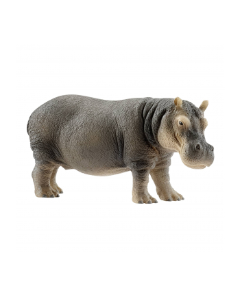 schleich SLH 14814 Hipopotam