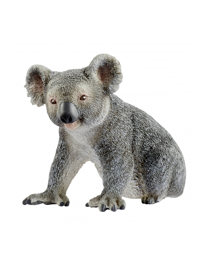 schleich SLH 14815 Koala główny