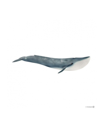 schleich SLH 14806 Płetwal błękitny