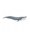 schleich SLH 14806 Płetwal błękitny - nr 6