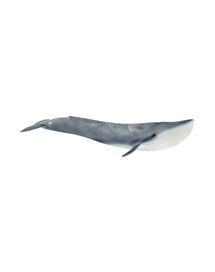schleich SLH 14806 Płetwal błękitny główny