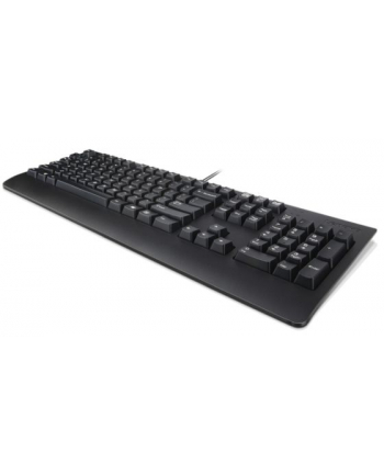lenovo USB Keyboard  Black US Euro103P  4X30M86918