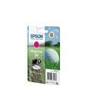 Golf ball Singlepack Epson Magenta 34 DURABrite Ultra | 4,2 ml - nr 8
