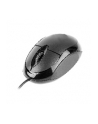 Mouse  TRACER Neptun USB - nr 4