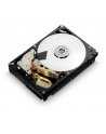 HGST Ultrastar 7K6 4TB 3 5  7200RPM SATA 256MB 512N - nr 5