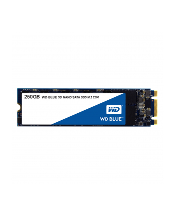 western digital WD Blue SSD 250 GB M.2 2280 WDS250G2B0B