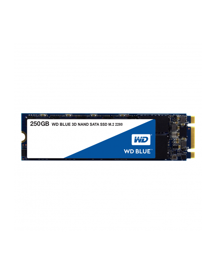 western digital WD Blue SSD 250 GB M.2 2280 WDS250G2B0B główny
