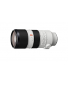 Sony SEL-70200 E70-200mm, F2.8 GM OSS zoom lens - nr 6