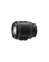 Sony E PZ 18-200 mm F3.5-6.3 OSS - nr 18