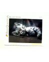 Clementoni Puzzle 1000el High Quality Collection. Kitty 39422 - nr 2