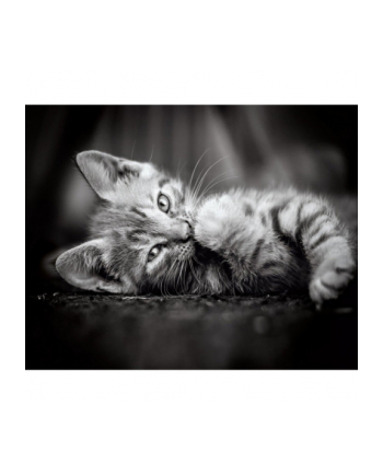 Clementoni Puzzle 1000el High Quality Collection. Kitty 39422