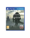sony Gra PS4 Shadow of the Colossus PL - nr 1