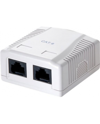 logilink Gniazdo natynkowe Cat.6 UTP 2xRJ45, białe