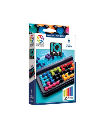 artyzan IQ Fit SMART GAMES