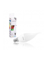 whitenergy Żarówka LED E14 C37L 396lm ciepła biała mleczna - nr 8